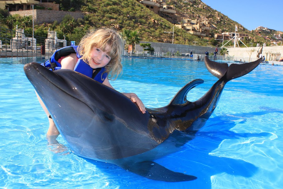 Photo credit: Cabo Adventures