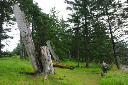 A closer look at Haida Gwaii - BC | Globalnews.ca