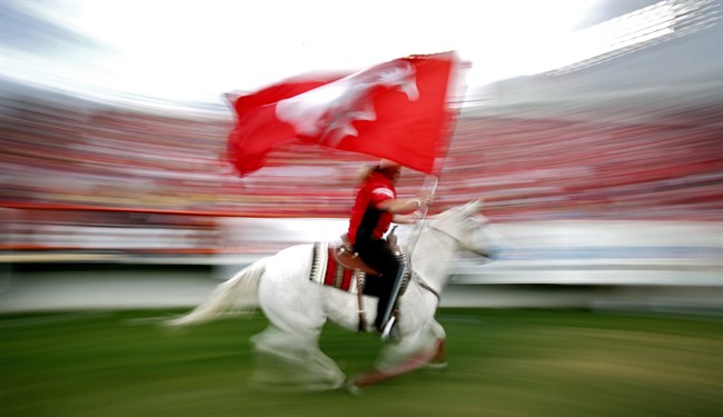 The Calgary Stampeders' touchdown horse Quicksix, runs past the stands on Monday, Sept. 2, 2013. THE CANADIAN PRESS/Jeff McIntosh.