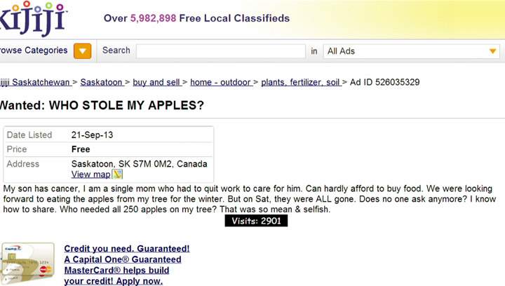 Compassionate people support mother whose apples were stolen - image