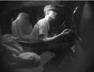 Langley RCMP look for alleged bait car thief - image