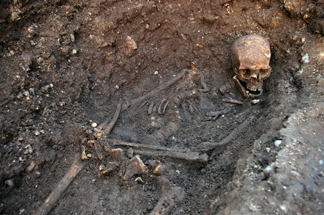 This undated photo provided by the University of Leicester shows the remains of England's King Richard III which were found in a dig in Leicester, England in September 2012. Not only was Richard III one of England’s most reviled monarchs, but it now turns out the hunchback king was probably infected with parasitic worms that grew up to a foot in length. Researchers who dug up Richard III’s skeleton underneath a parking lot report they have found roundworm eggs in the soil around his pelvis, where his intestines would have been. They compared that to soil samples taken close to Richard’s skull and surrounding his grave, where there weren't any eggs. In a study published online Wednesday Sept. 4, 2013 in the journal Lancet, experts say it’s unlikely the worms did any serious damage to the king. 