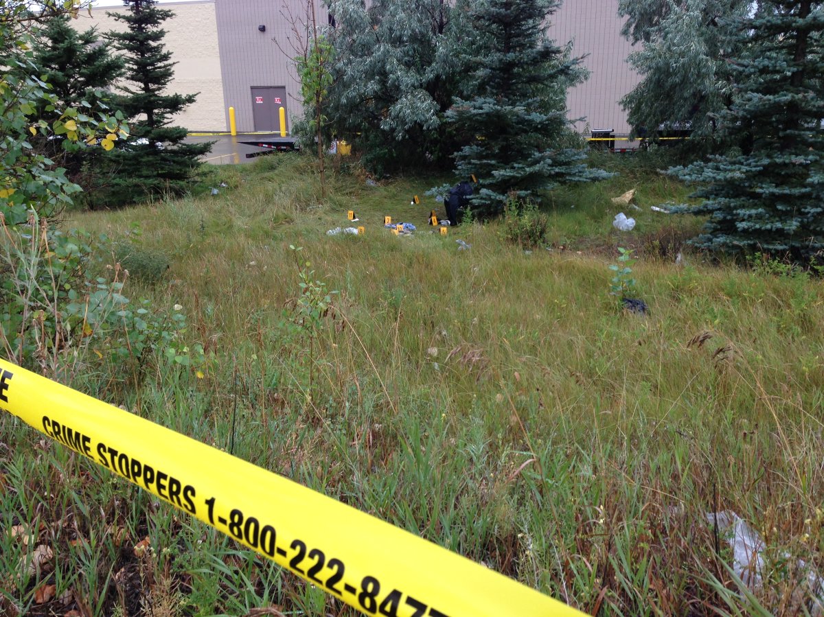 Police say death of a woman in southeast Calgary not suspicious - image