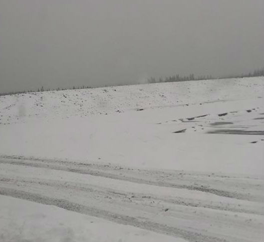 Snow in Fort Nelson B.C.