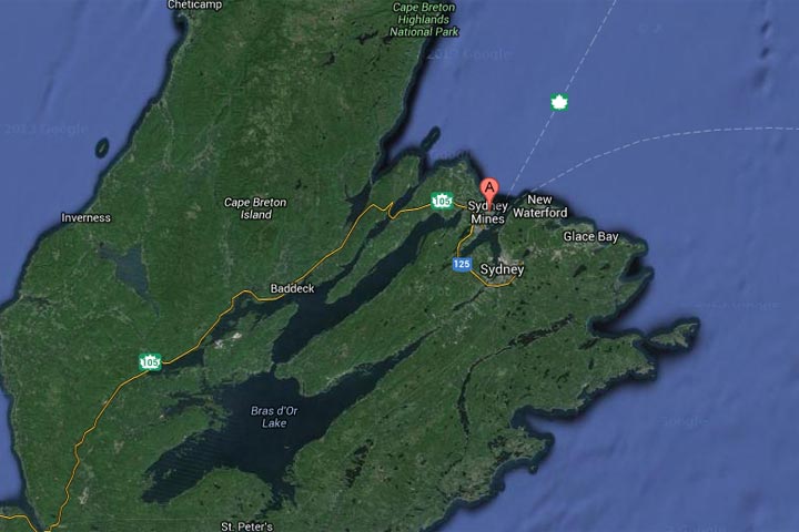 Man killed trying to remove tree from Cape Breton property - image