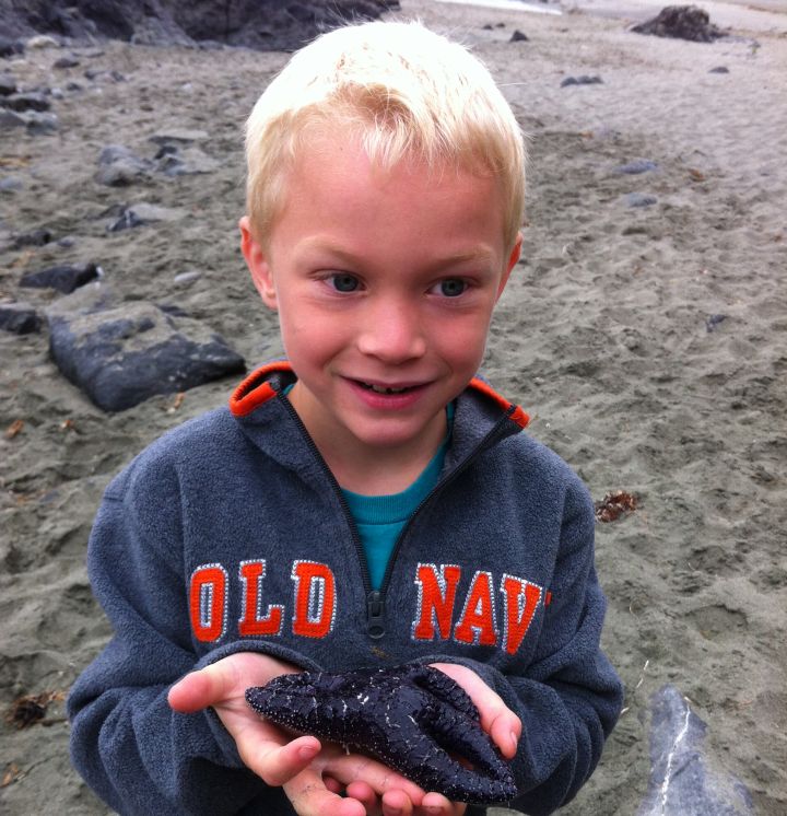 Memorial to be held for young boy struck and killed by school bus - image