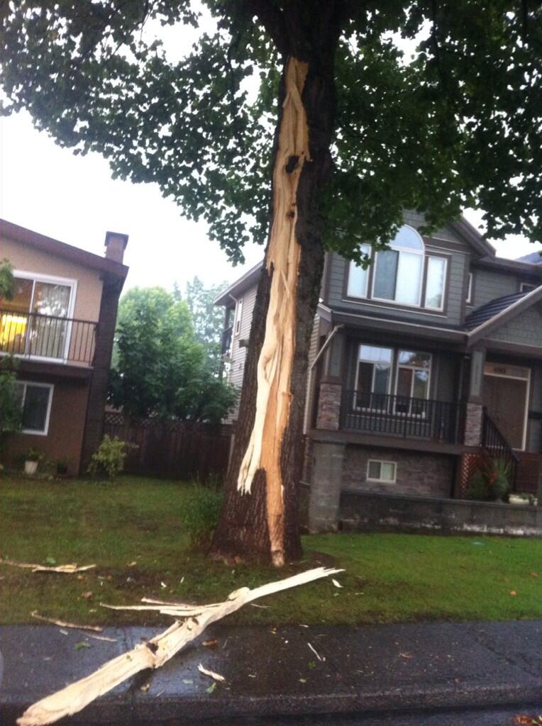 Storm rolls through Metro Vancouver with heavy rain and hundreds of