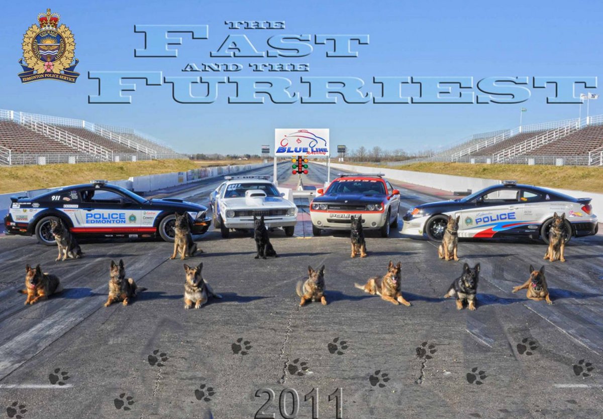 The EPS Canine Unit team from 2011, as seen in this EPS photo.