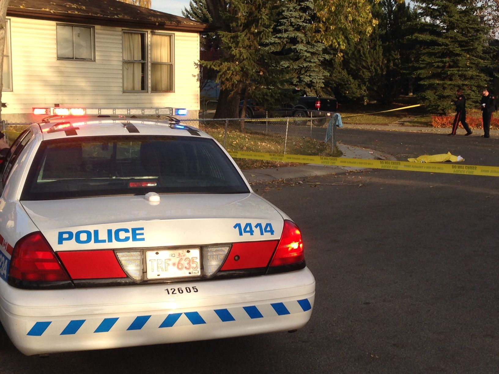 Dog shot, killed after attacking police officer - Calgary | Globalnews.ca