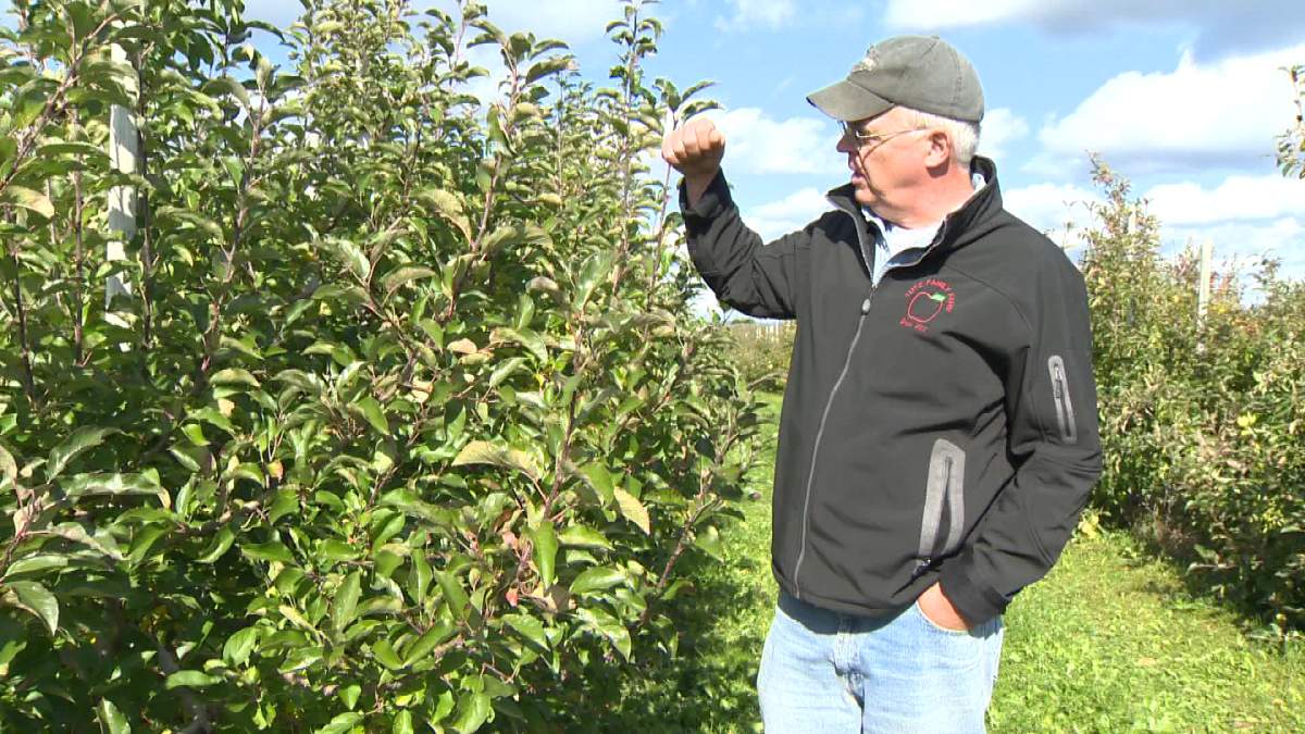 Larry Lutz runs Scotian Gold Cooperative Ltd. He says a 2013 CFIA quarantine on four farms was hard on business.