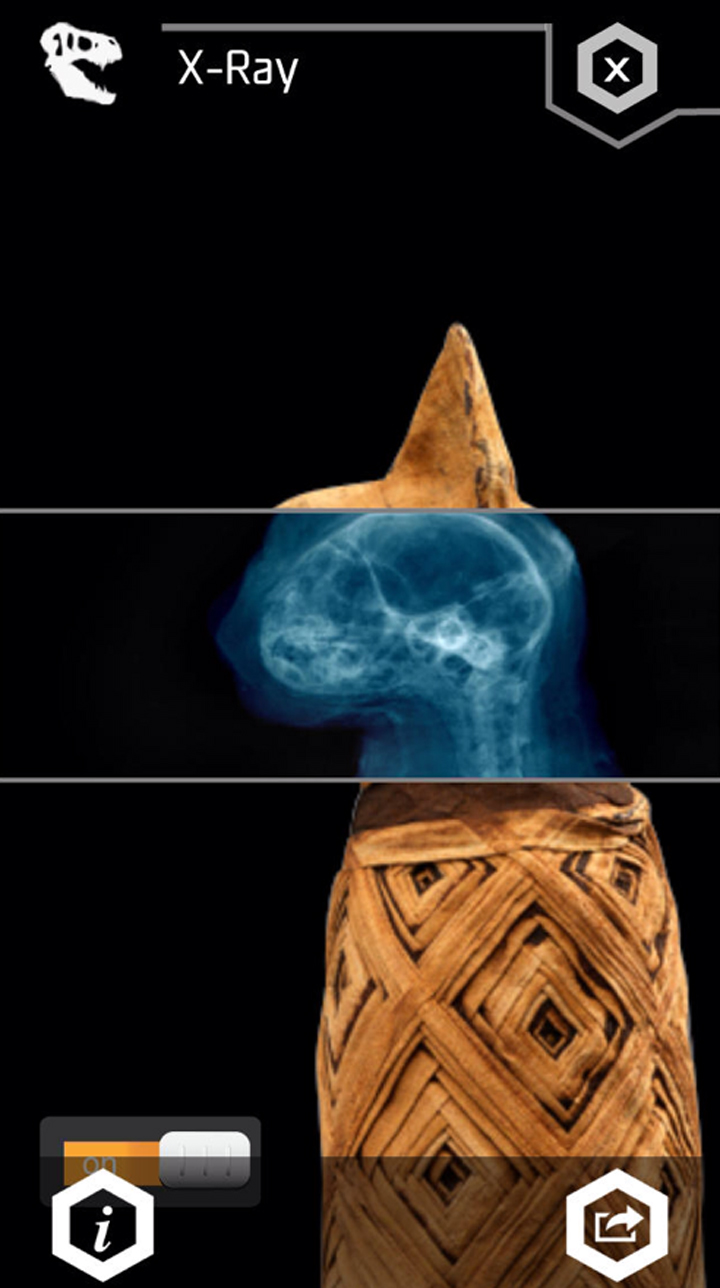 Royal Ontario Museum unveils interactive app - image