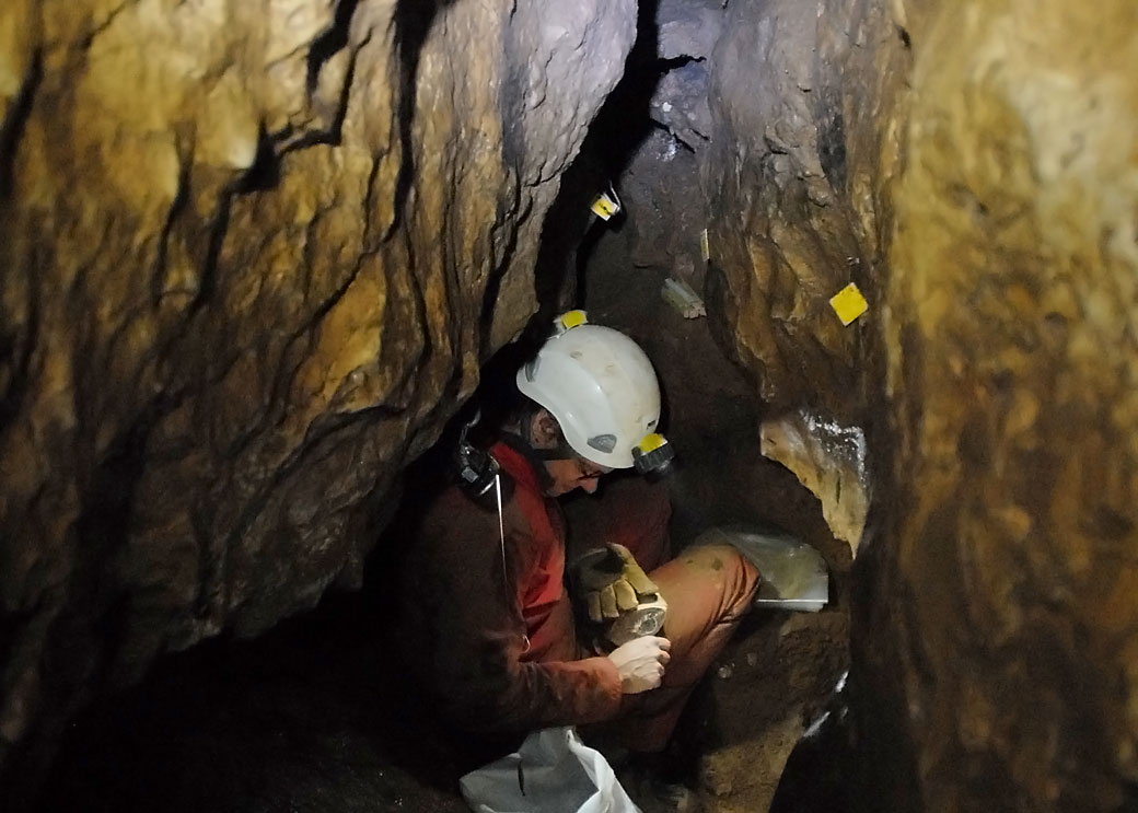 Scientists examine bones found in a cave in northwestern Germany.