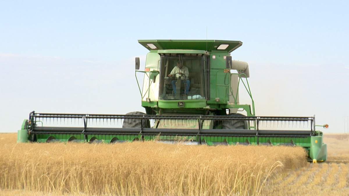 Saskatchewan Agriculture said Thursday 58 per cent of the crop is now in the bin, well above the five-year average of 37 per cent for this time of year.