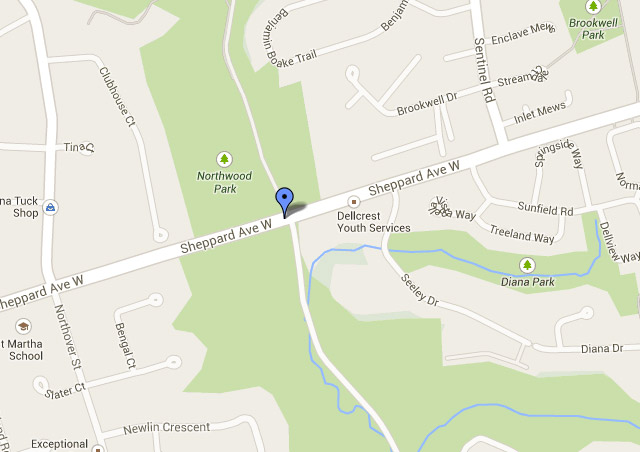 Two men are in hospital after their car crashed into a tree at Sheppard Avenue and Sentinel Road in North York.