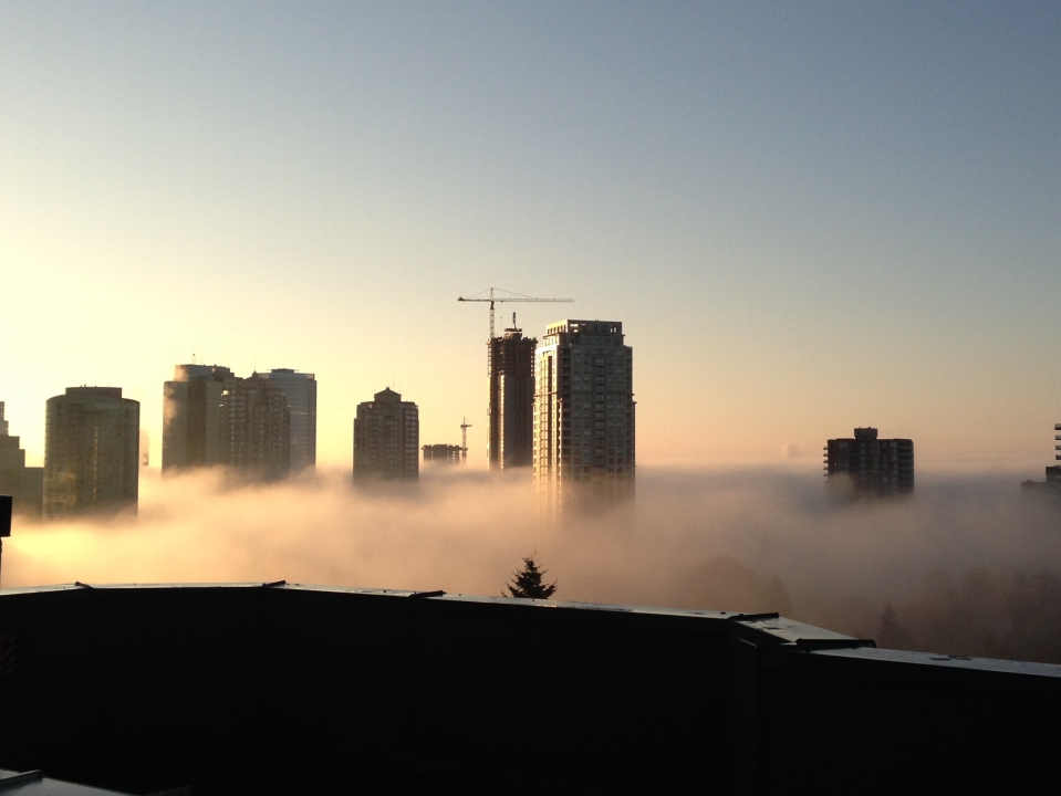 Fog in Burnaby .