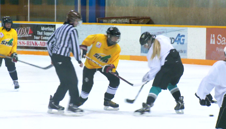 The 2013 International Ice Hockey Federation (IIHF) World Girls Hockey Weekend took place over the weekend.