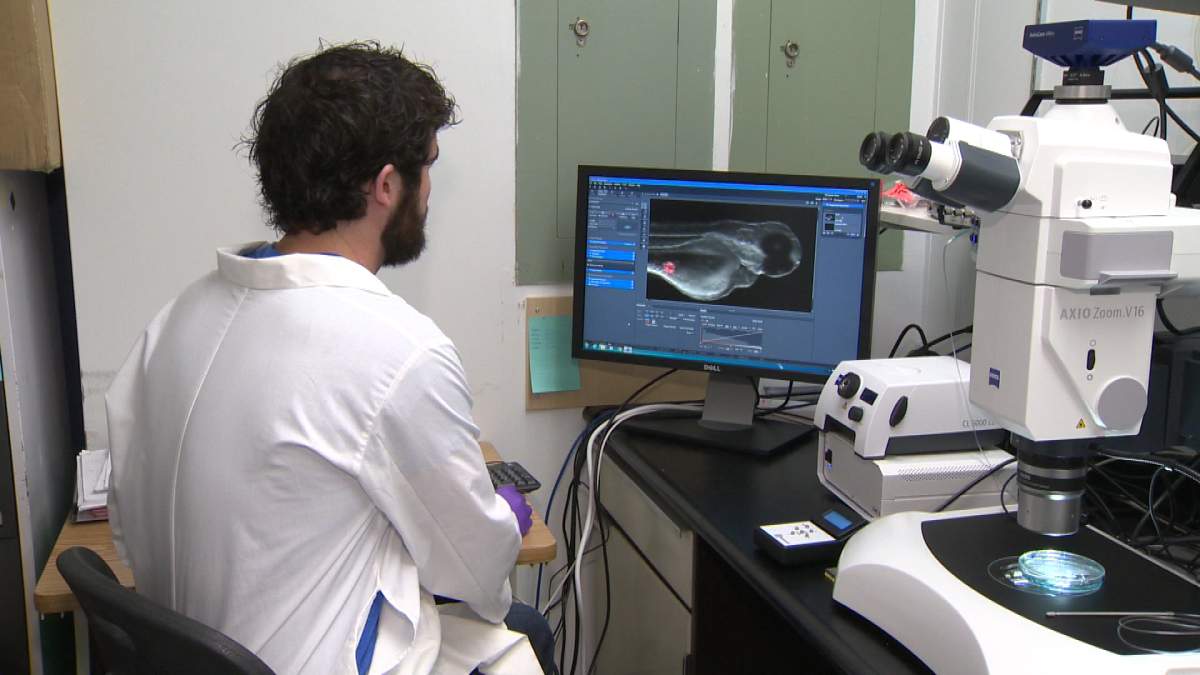 (Photo: File/Global News)