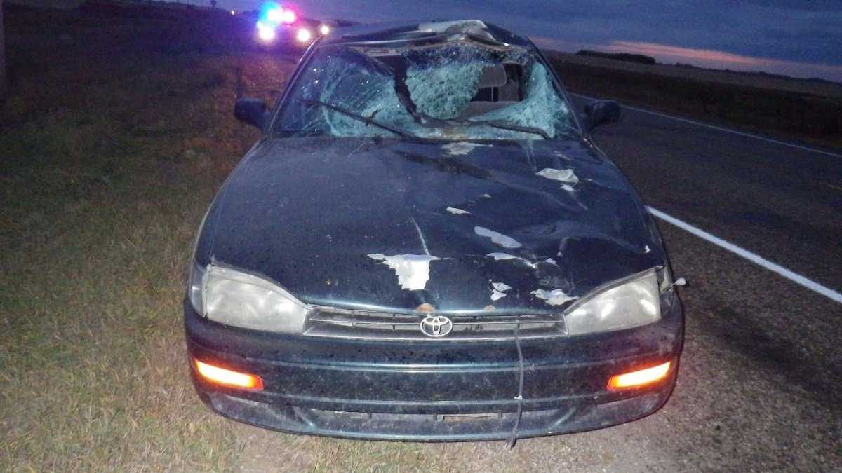RCMP were called to Highway 48 near Davin, SK where a Toyota Camry collided with a moose.