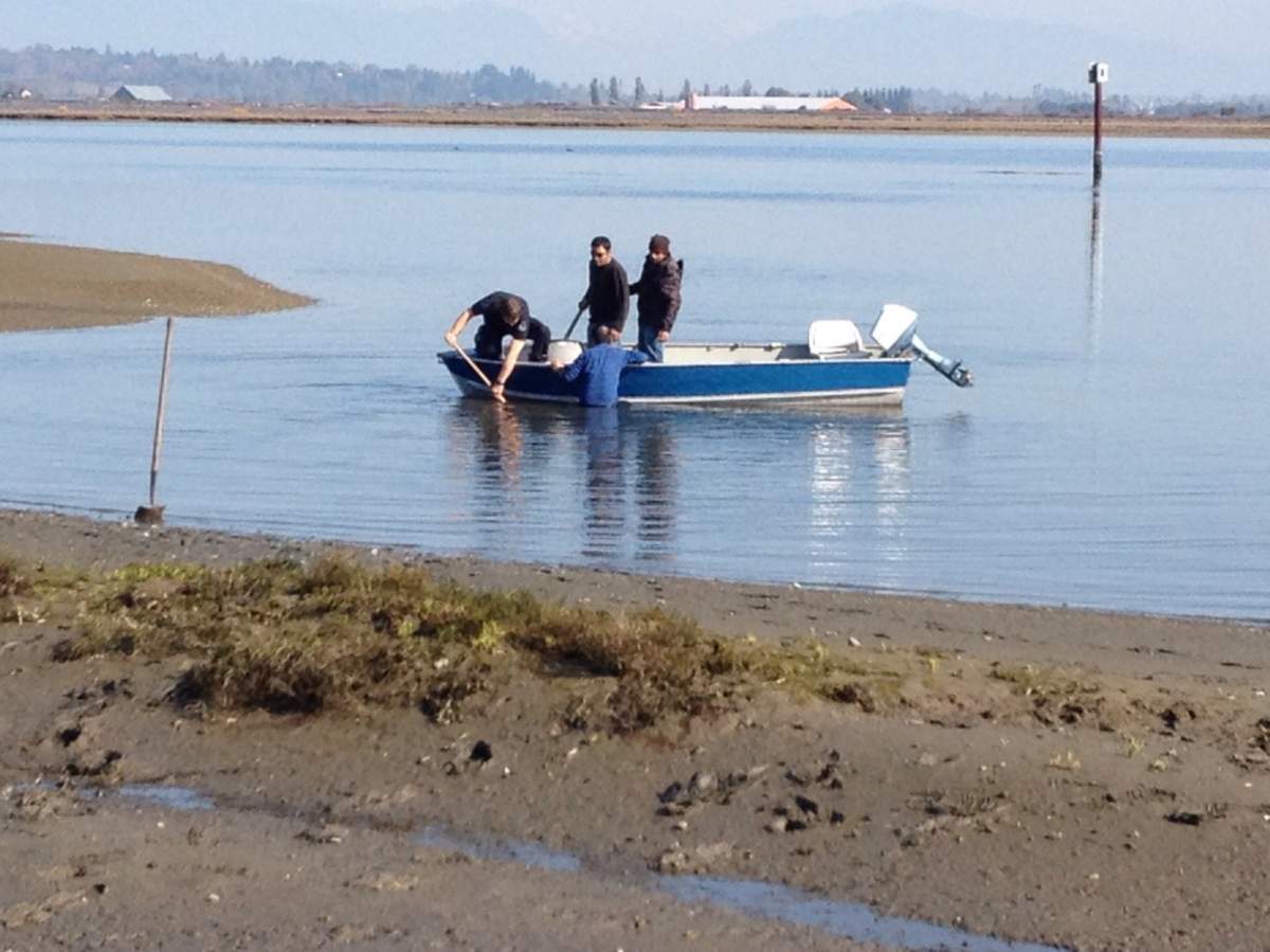 Man rescued after getting trapped in the mud at Crescent Beach - BC ...