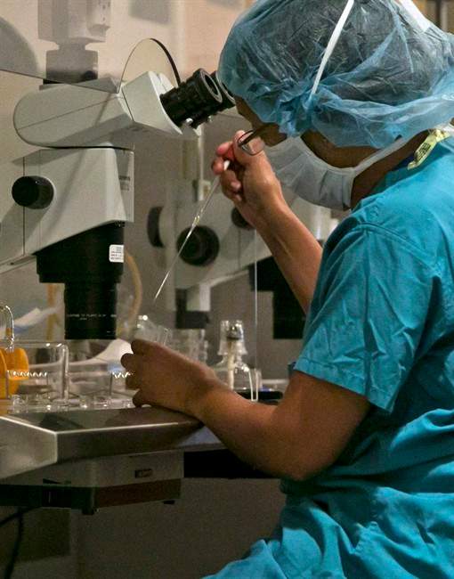 An embryologist fertilizes an embryo at Reproductive Medicine Associates of New York, in New York, Thursday, Oct. 3, 2013.
