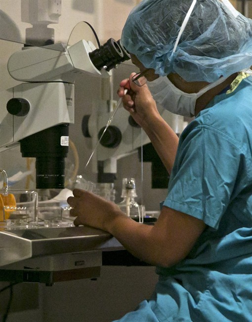 An embryologist fertilizes an embryo at Reproductive Medicine Associates of New York, in New York, Thursday, Oct. 3, 2013.