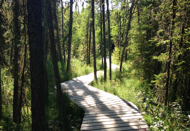A Saskatchewan non-profit organization has announced a grant program to enhance the province’s recreational trails.