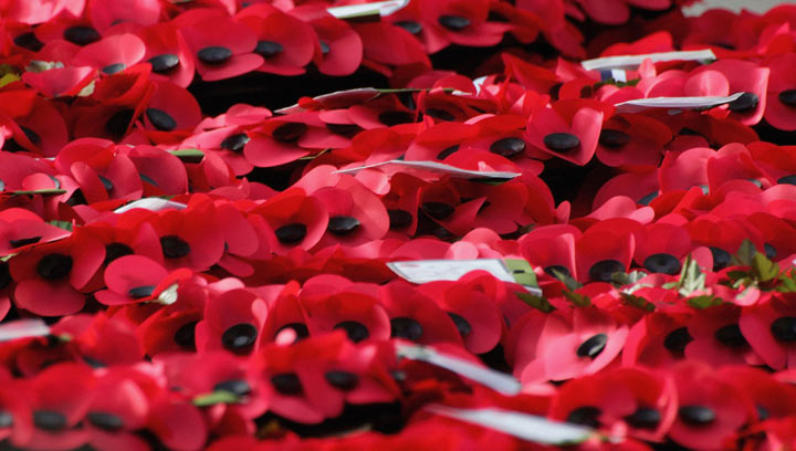 Canadian soldier from First World War identified