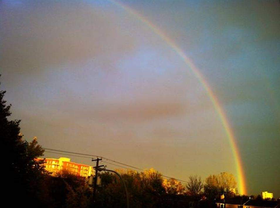 Montreal rainbow