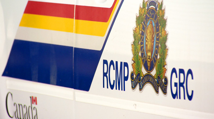 Two men dead after a car hit a moose near Canora, Sask. on Saturday.