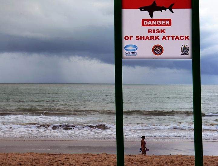 A shark killed a teenager off Australia's
east coast Saturday in the nation's second deadly attack this month,
police said.
