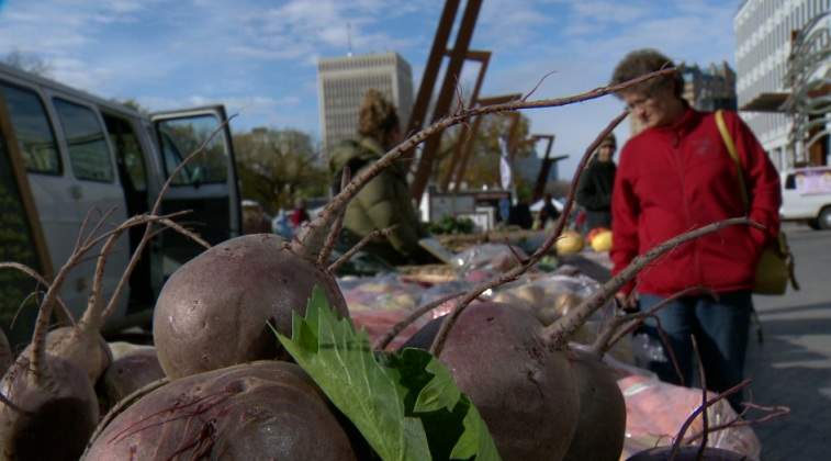 October 16th is World Food Day, a day all about promoting a healthier lifestyle