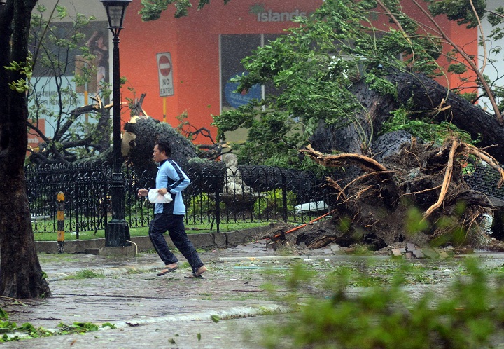 A resident runs past an uprooted tree amidst strong winds as Typhoon Haiyan pounded Cebu City, in central Philippines.