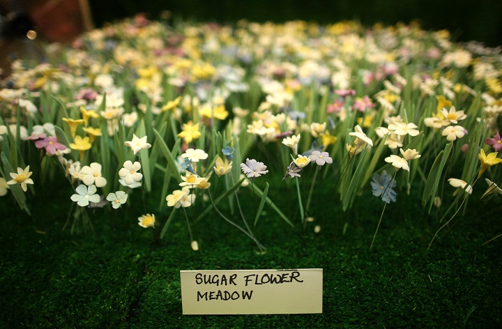 A flower meadow made entirely from sugar. (Peter Macdiarmid/Getty Images)