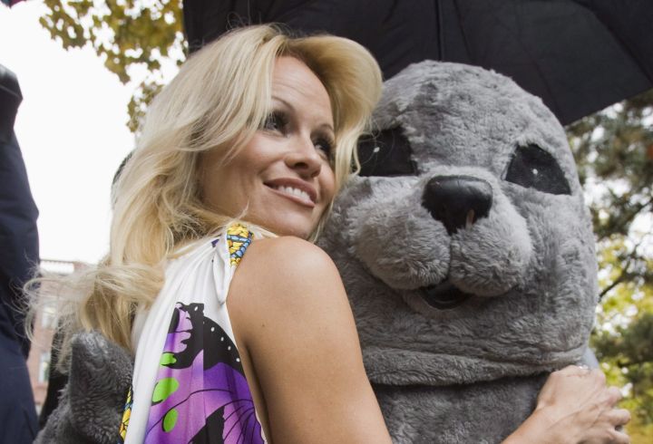 Pamela Anderson hugs a seal mascot as she launches PETA's new anti-sealing campaign in Toronto on Friday October 23, 2009.