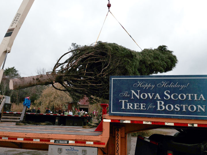 N.S. delegation in Boston for Christmas tree lighting event - image