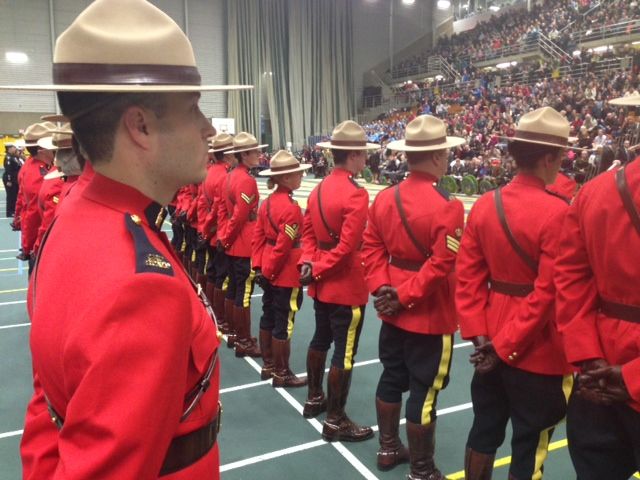 Remembrance day butterdome 2024