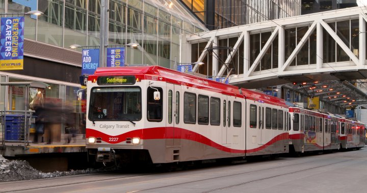 Calgary Transit to offer discounted monthly passes this summer