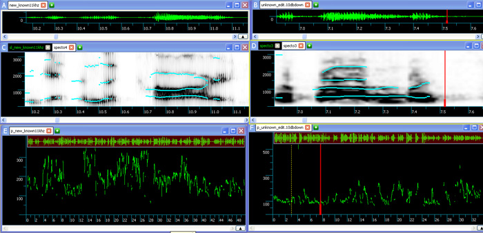 Screenshot from Marisa T. Déry SIS II /Speechpro audio analysis shows  the .wav file on top, spectogram in the middle, and pitch analysis at the bottom. The overall pitch between the two voices is quite different.