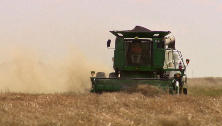 Farm groups on the prairies want the federal government to penalize railways for failing to get record crop to market.