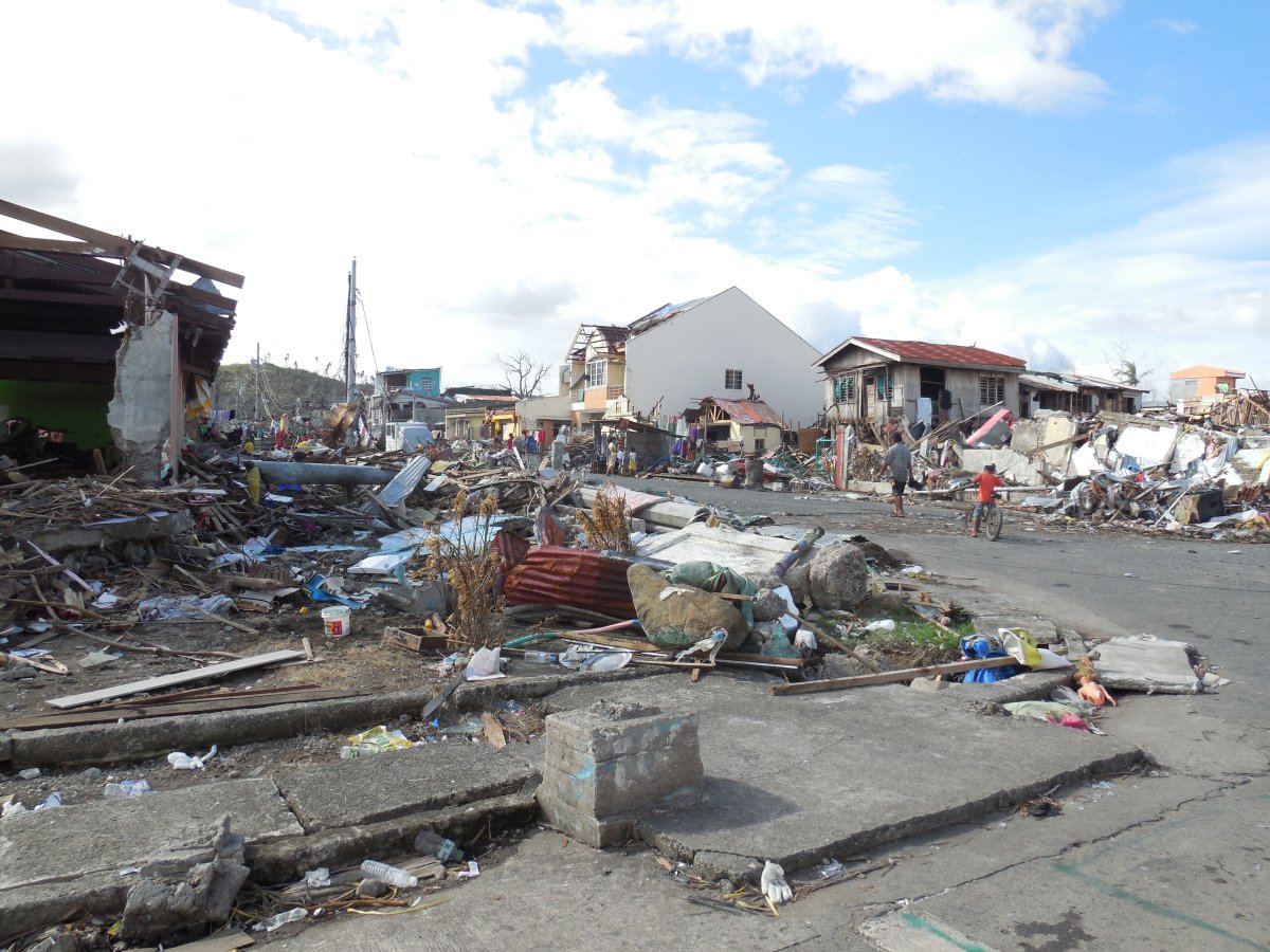 Canada’s search and rescue dogs return from typhoon-ravaged Philippines ...