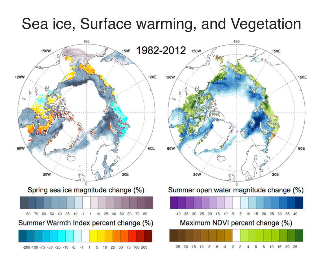 These charts show trends in spring sea ice, land surface warmth, open water area, and vegetation from 1982 to 2012. Maximum NDVI is the Maximum Normalized Difference Vegetation Index. (NOAA)