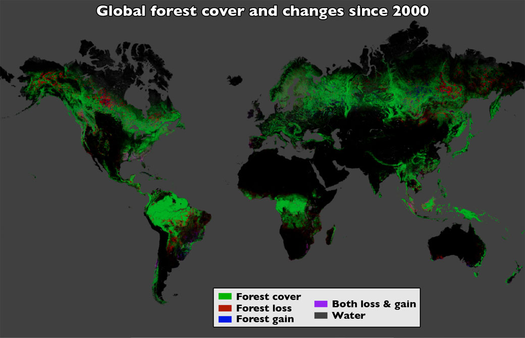 Using satellite imagery and cloud computing, researchers mapped forest cover worldwide as well as forest loss and gain. Over 12 years, 2.3 million square kilometers of forest were lost.
