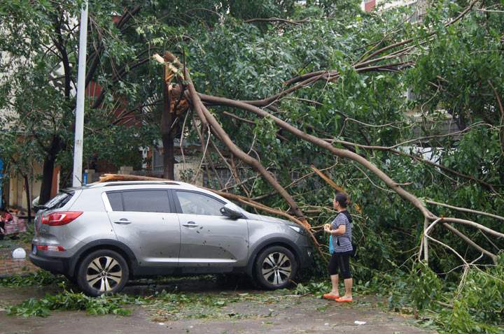 A vehicle is damaged by fallen trees on November 11, 2013 in Sanya, China. Typhoon Haiyan, which left a trail of destruction in the Philippines, weakened into a tropical depression and brought gales and rainstorms to South China on Sunday. (ChinaFotoPress/Getty Images).