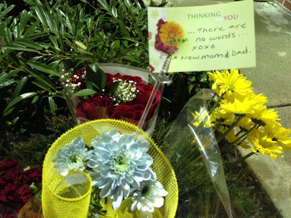 Memorial for killed toddler grows at Pitt Meadows parking lot - image