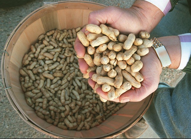 FILE - In this Dec. 16, 1997 file photo, feed store owner Jerry Foote of Seminole, Texas, holds a handful of peanuts grown in Gaines County.