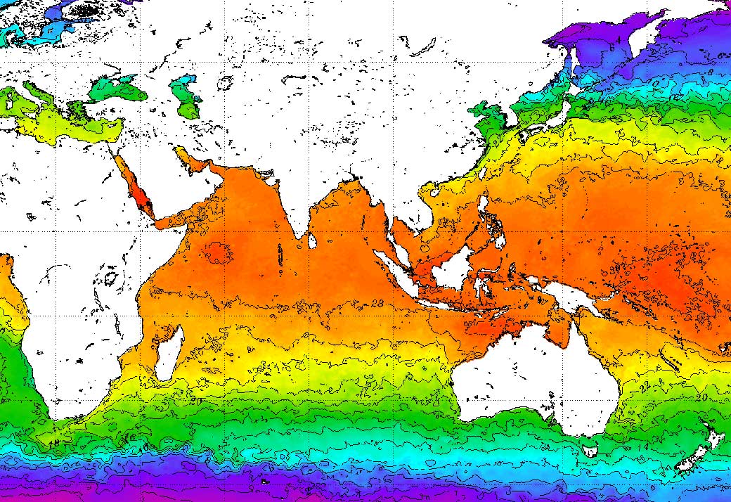 A map detailing surface ocean temperatures. The temperature in the Pacific Ocean, and the Philippine sea is near 30 C. (NOAA)
