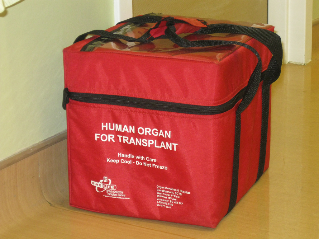 The province's organ and tissue donation and transplant agency says there were 2,413 tissue donors in 2018, an increase of 85 per cent over the last decade.