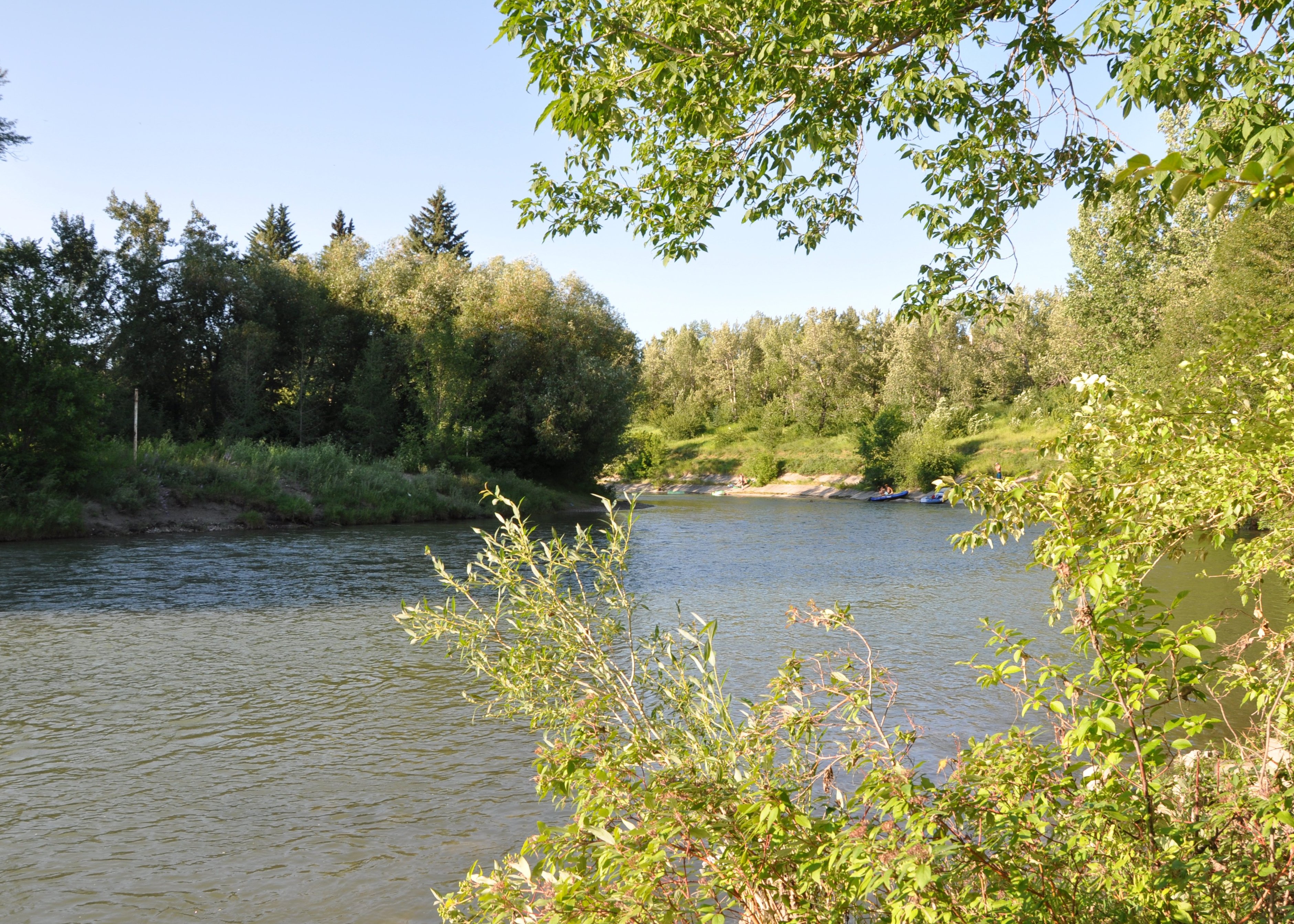 Open House To Showcase Plans For Stanley Park Revamp Calgary   Park 