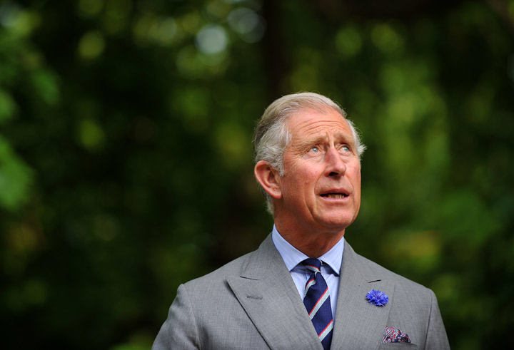 Prince Charles, Prince of Wales attends a preview of Start Day which features exhibits from the Earth Awards at Clarence House on July 27, 2011 in London, England. (Photo credit: Getty Images)