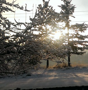 Gallery: Snow Hits B.C. | Globalnews.ca